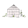plante