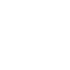 Ingeneur, Engineer