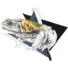 Giant Frog Bufo
