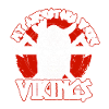 Mon ancêtre marchandises Vikings Danemark
