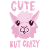 Cute But Crazy
