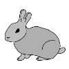 Bunny Bunny Rabbit