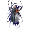 Coleoptera Insekt