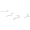 Bat - bats