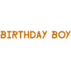 Birthday Boy