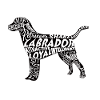 Labrador