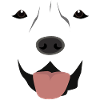 (Labrador Face)