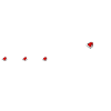 Teckel Dachshund Teckel blanc