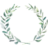 Oliven Krone
