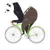 Vélo de route à vélo