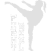 Mixed Martial Arts Girl