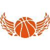1007 ball basketball wing wing