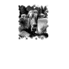 It gschimpft isch globat gnua