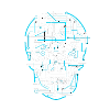 electric skull tshirt ✅