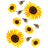 Happy bumblebees