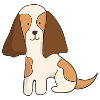 Chiot