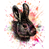 Aquarelle lapin