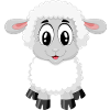 Baby sheep