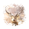 Hirsch