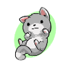 kitten