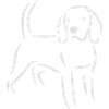 Beagle drawing in white