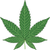 weed