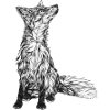 Fuchs