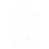 Mexican skull