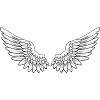 angel wings