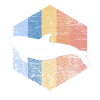 killer whale