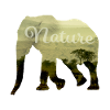 Elephant Nature