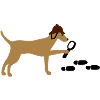 Search-and-rescue dog