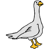 Goose