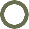 Retro kiwi
