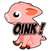 Oink piggy