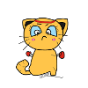 combat cat