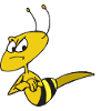 Wasp Knock Knock