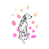 Dalmatiner bunt 03