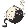 Cats Tai and chi