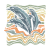 dolphin