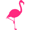 flamingo