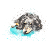 Chien ment