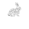 hare