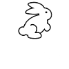 Rabbit pet funny