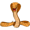 cobra