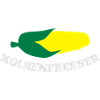 Kolbenfresser