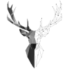 Hirsch
