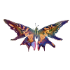 Schmetterling bunt
