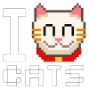 I love cats