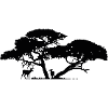 Africa